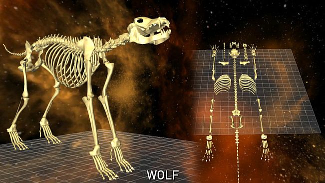 World of Guns VR: 5 Skeletons Pack