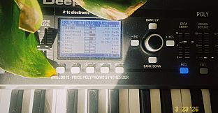 Dungeon Bodega Simulator Soundtrack