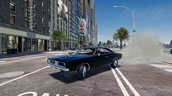 NS Drive Simulator