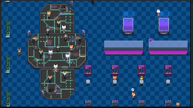 动物霓虹街：酒吧