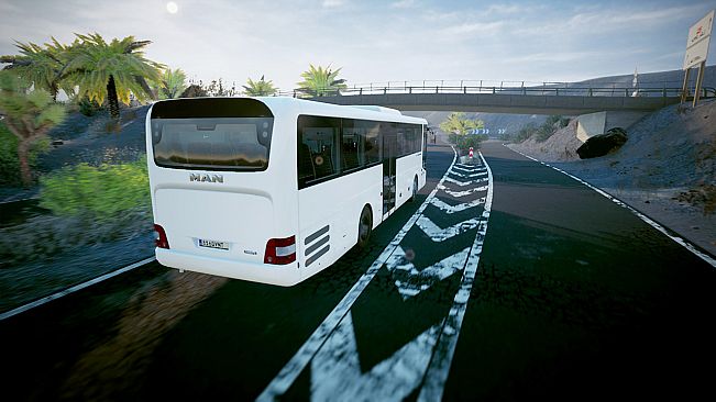 Tourist Bus Simulator - MAN Lion's Intercity