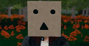 Hide and Seek - Box Head