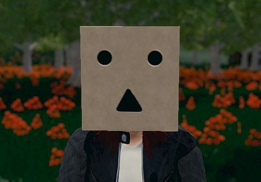 Hide and Seek - Box Head