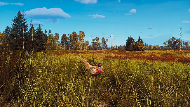 Way of the Hunter - Lintukoto Reserve