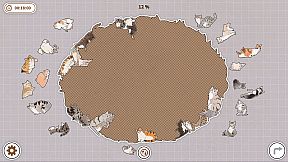 Cats Huddled Together 挤在一起的猫猫们