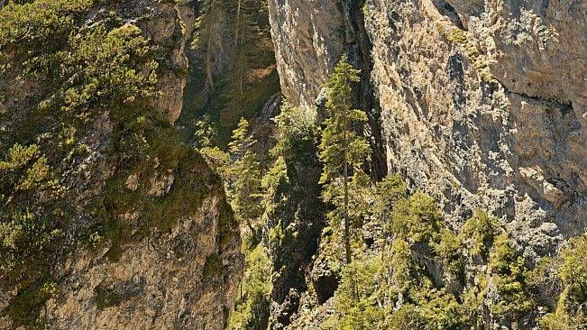 VR Gigapixel Gallery