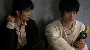 Tree's Love Crossing Above