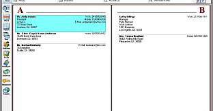 AnyTime Organizer Standard 15