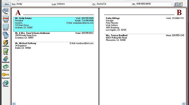 AnyTime Organizer Standard 15