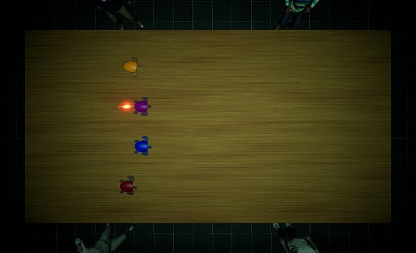 Underground Turtle Races