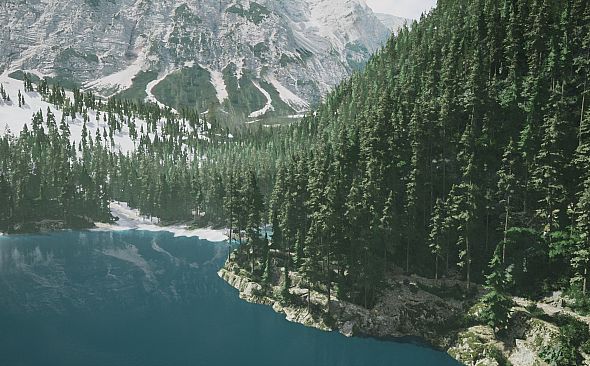 Lushfoil Photography Sim