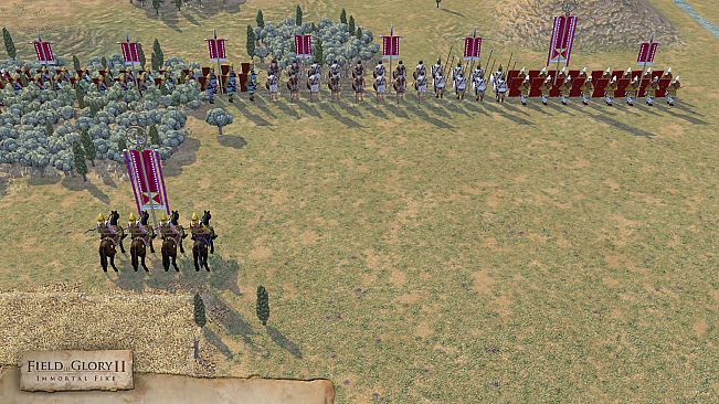 Field of Glory II: Immortal Fire