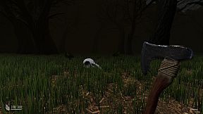 Ravenhille: Awakened