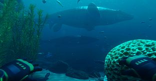 Paleo Dive