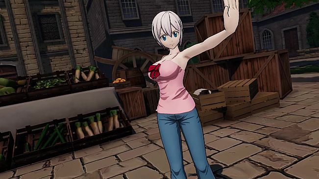 FAIRY TAIL: FAIRY TAIL Season Pass