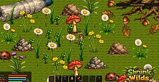 Shrunk Wilds