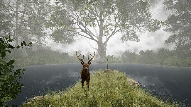 TheLostWoods / 迷いの森