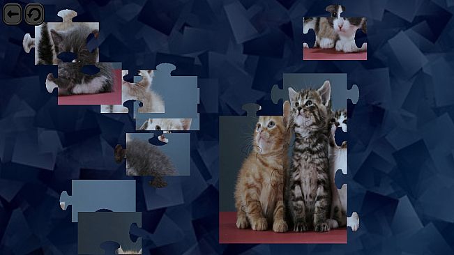 Puzzles for smart: Cats