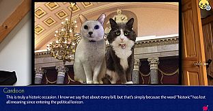 Cat President: 3rd-Rate Candidate