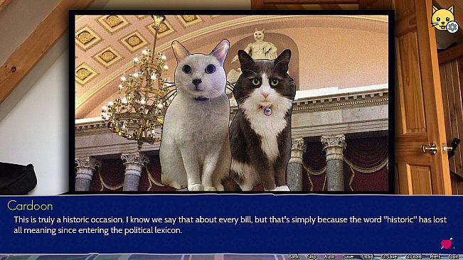 Cat President: 3rd-Rate Candidate