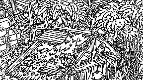 Hidden Cats In White Sand Village