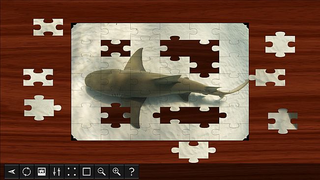 Jigsaw Puzzle World - Sharks