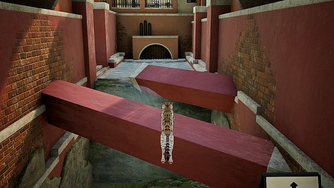 Curiosity: A Cat Climbing Game