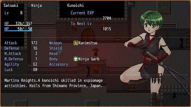 Temple Knight Saga -Oath of the Knight's Sword-