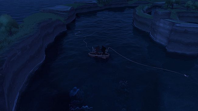 Paddle Cats
