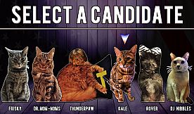 Cat President ~A More Purrfect Union~