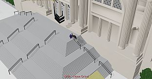 Teo Dove Am Skater 2