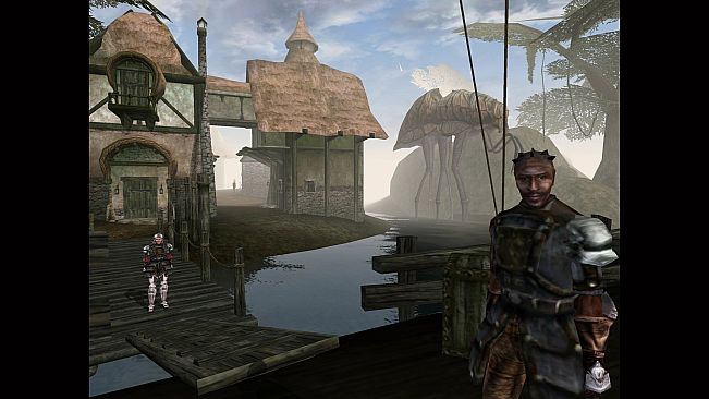 The Elder Scrolls III: Morrowind