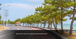 Blue Hawaii Aniki's Small Celebration vol.3