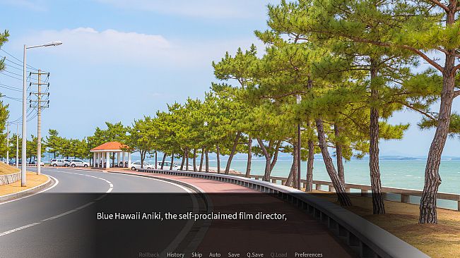 Blue Hawaii Aniki's Small Celebration vol.3
