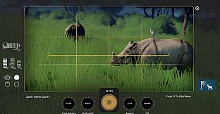 The Great Indian Safari