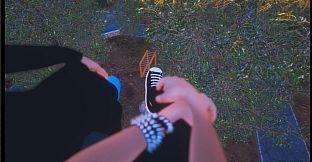 Симулятор Сидения на Крыше