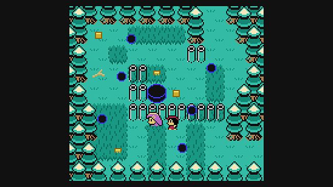 May and the Amazing Bouquet