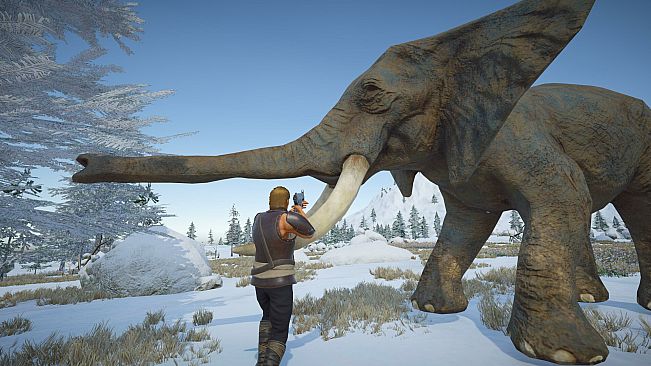 The Submerging Island