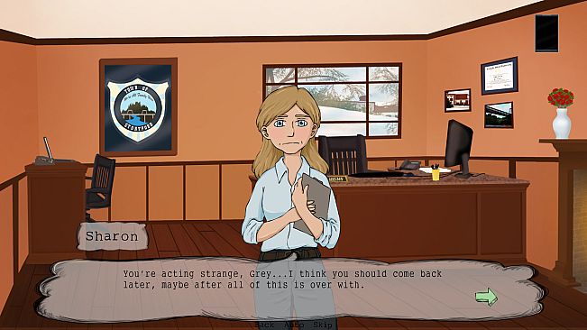 Mystery at Stonyford Bridge