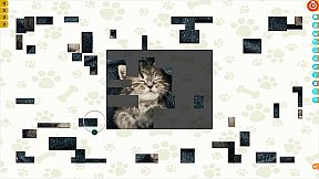 Puzzle Escapes: Paws & Claws