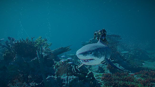 Crimson Desert Enhanced: Charting the Unknown