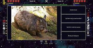 I've Seen Everything - Season Pass