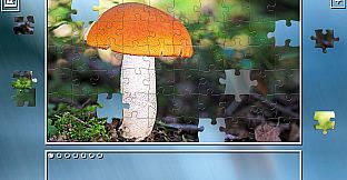 Super Jigsaw Puzzle: Generations - Mushrooms