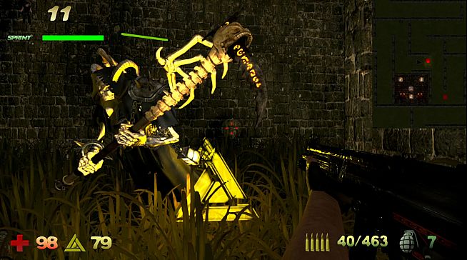 YRek Lost In Portals