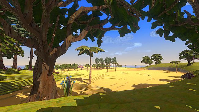 CardLife: Creative Survival