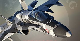F/A-18C: Aggressors BFM Campaign