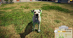 Animal Shelter: Prologue