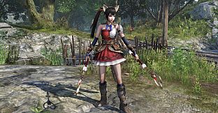 WARRIORS OROCHI 4 - Special Costumes Pack 2