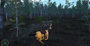Horse Spirit Valley 2