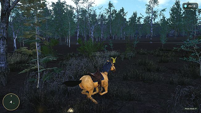 Horse Spirit Valley 2